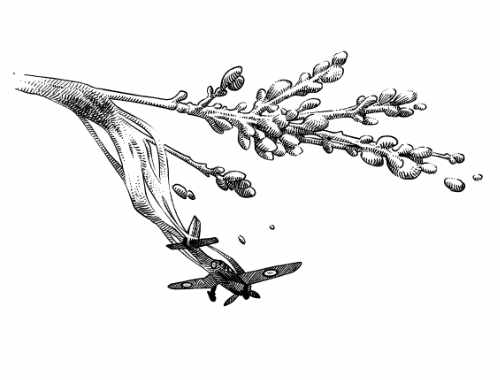 Bild aus Krieg, Leben, Lyrik. Ein Flugzeug stürzt ab.